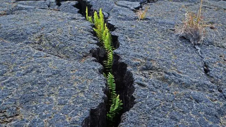 resiliencia-jorge-pelaez